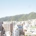 屋外の景色
