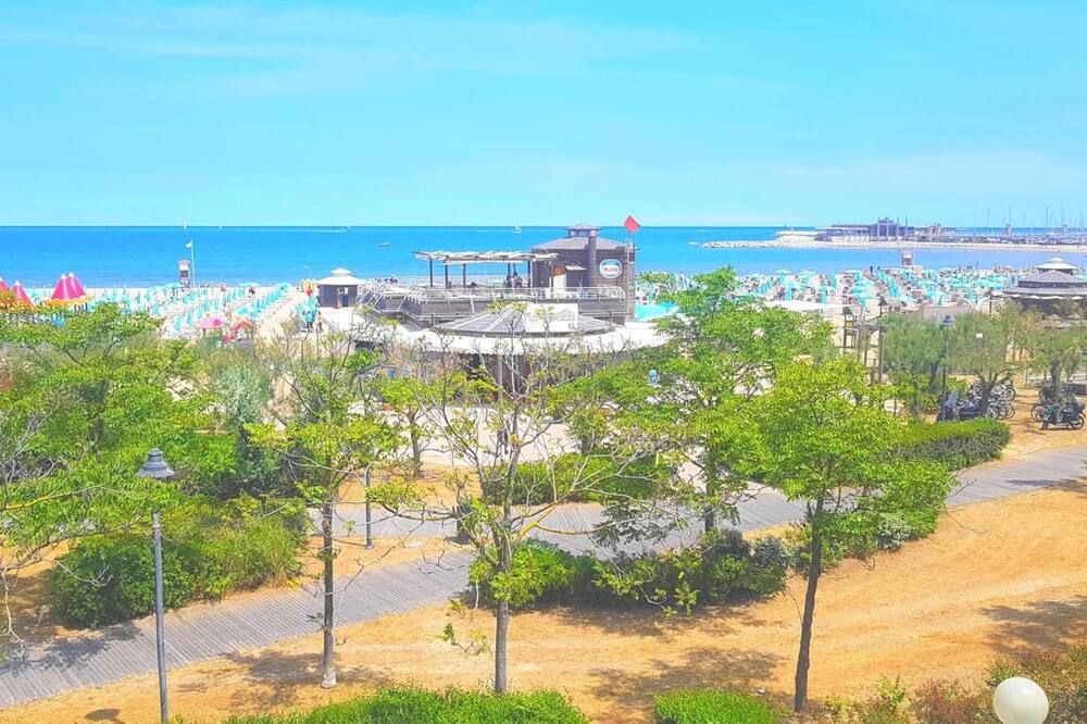 屋外の景色