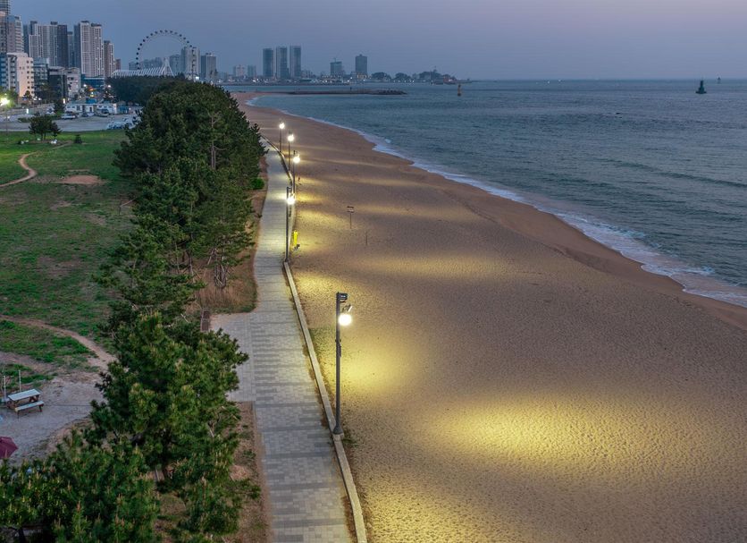ビーチ 写真