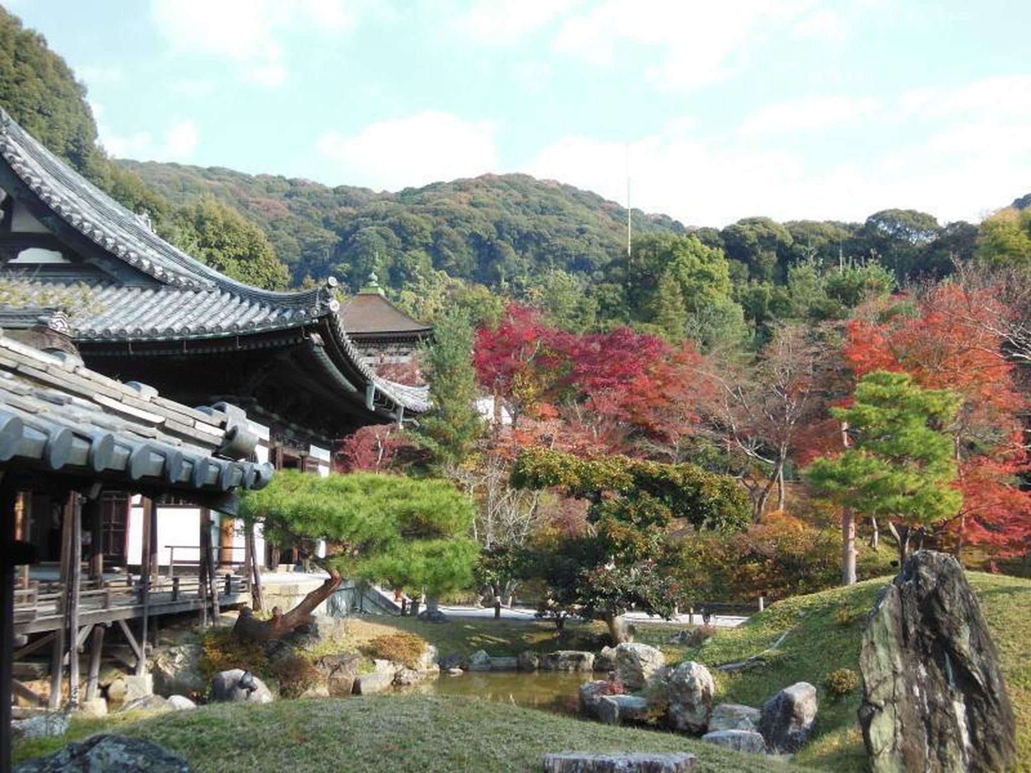 屋外の景色