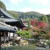 屋外の景色