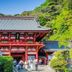 屋外の景色