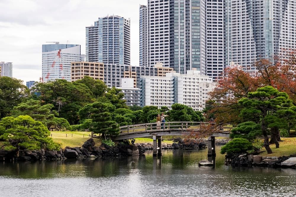 屋外の景色