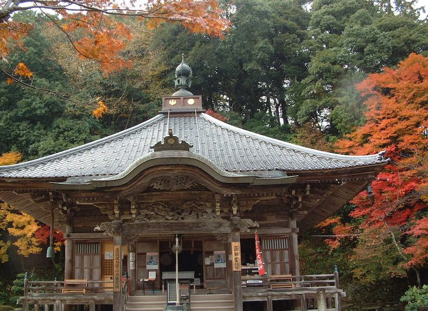 その他 写真