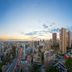 屋外の景色