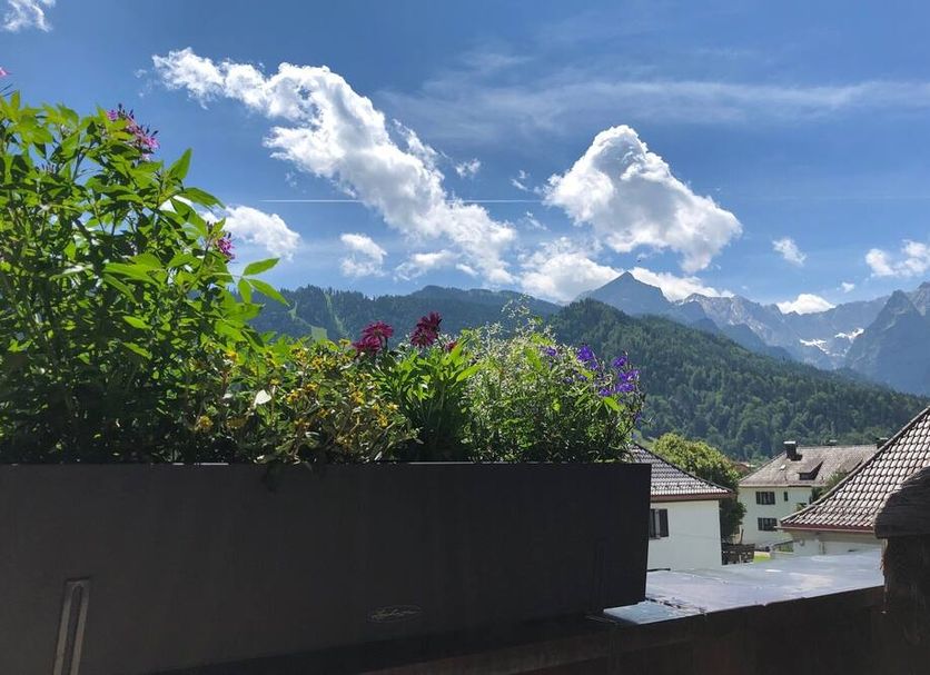 屋外の景色 写真