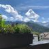 屋外の景色