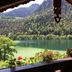屋外の景色