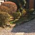 屋外の景色