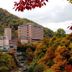 屋外の景色