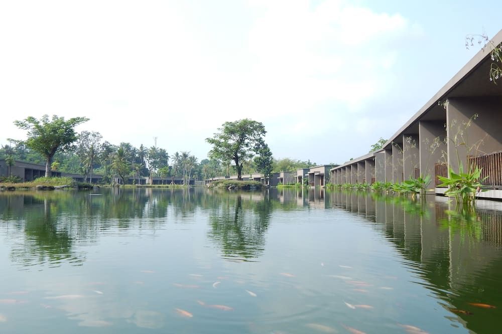 屋外の景色