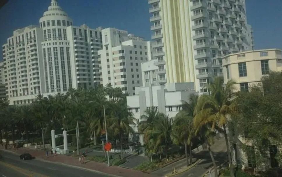 屋外の景色 写真