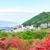 屋外の景色