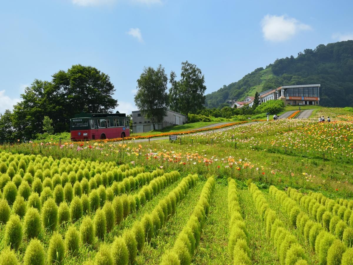屋外の景色