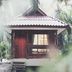 屋外の景色