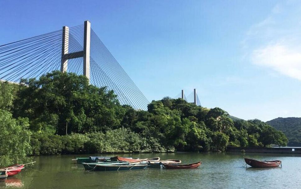 屋外の景色 写真