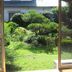 屋外の景色