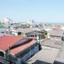 屋外の景色