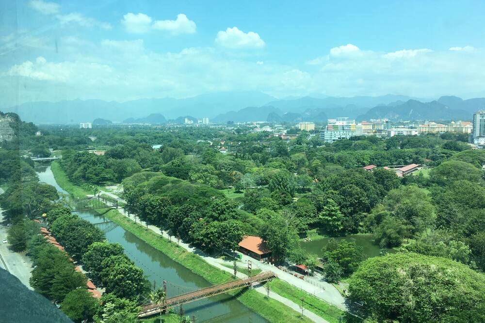 屋外の景色
