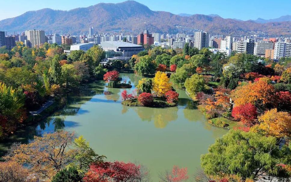 屋外の景色 写真