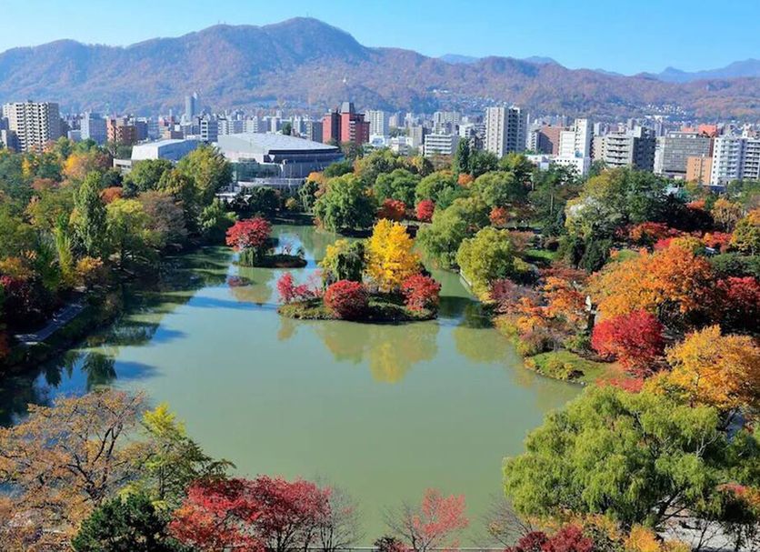 屋外の景色 写真