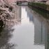 屋外の景色
