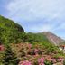 屋外の景色