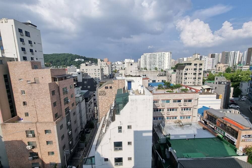 屋外の景色