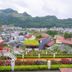 屋外の景色