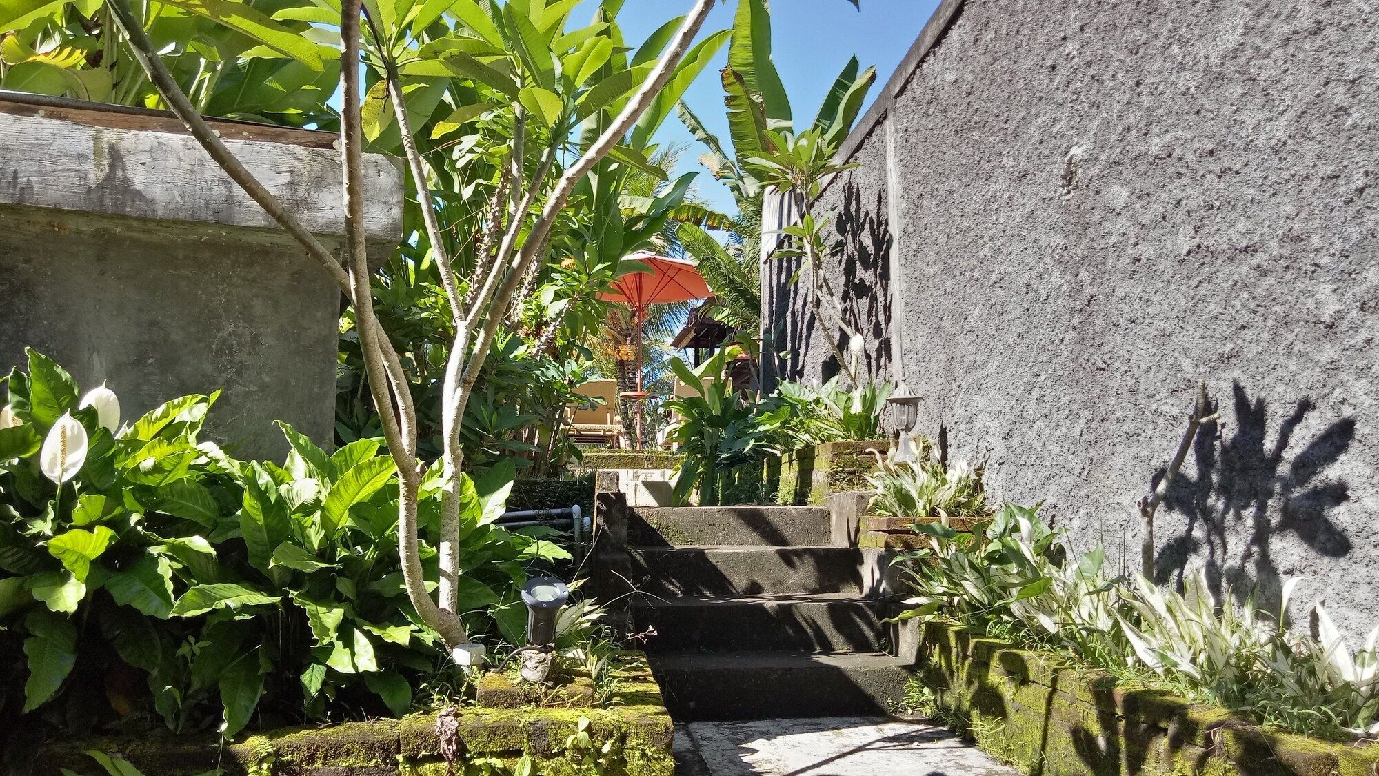 屋外の景色