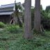 屋外の景色