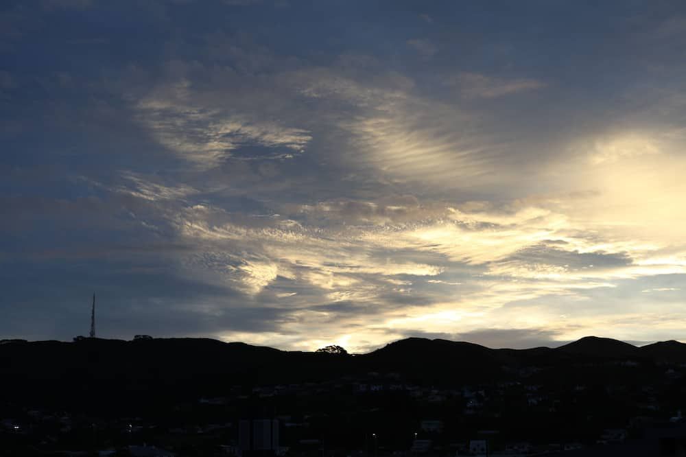 屋外の景色