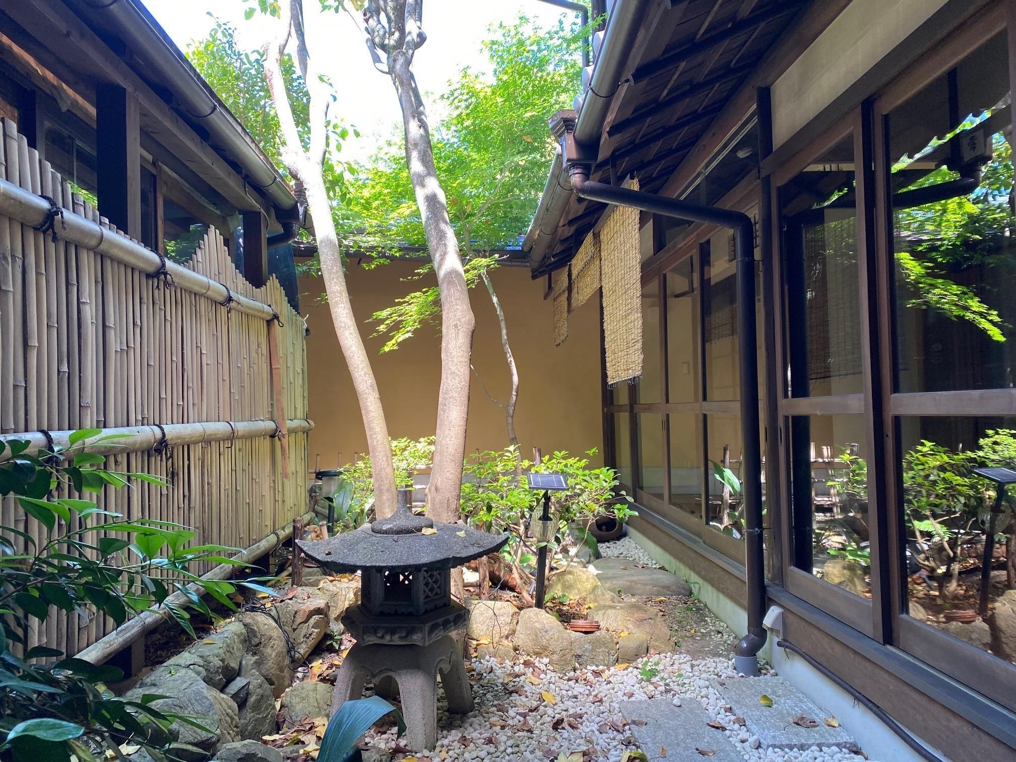 屋外の景色