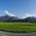 屋外の景色