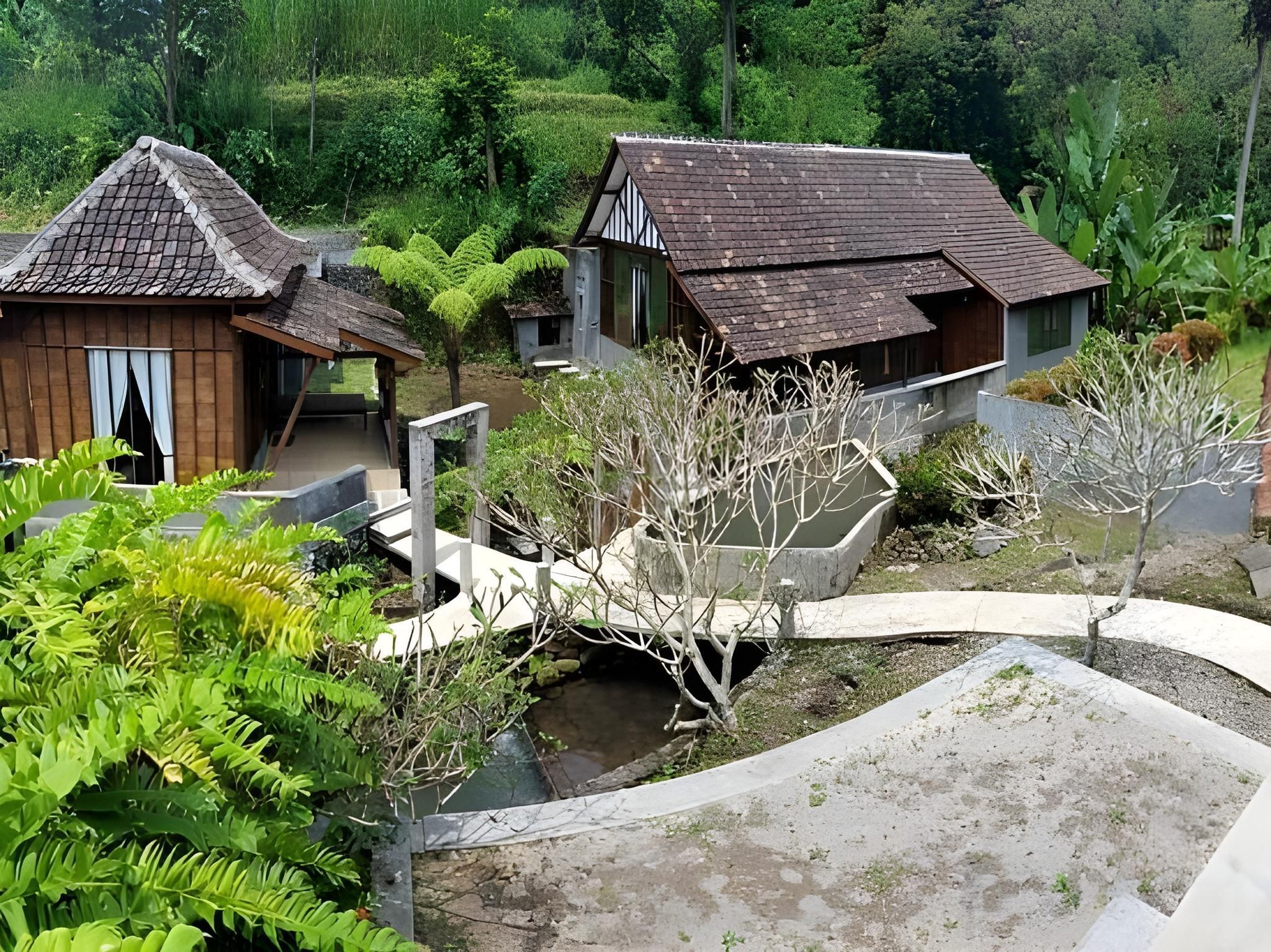 屋外の景色