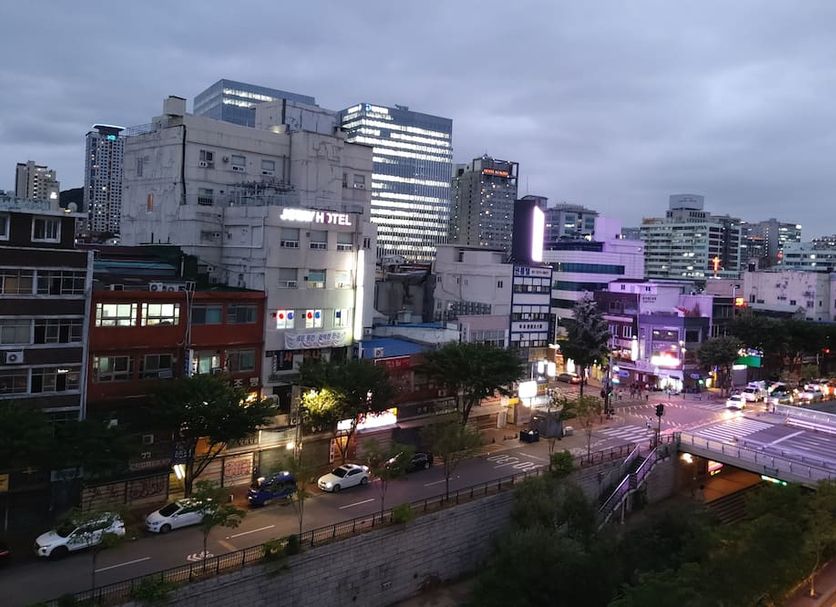 屋外の景色 写真