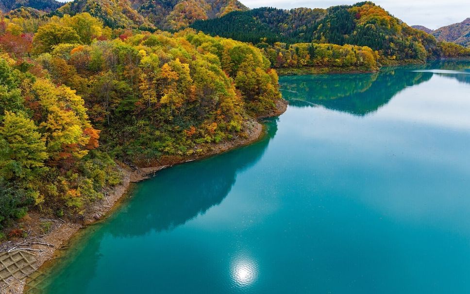 アトラクション 写真