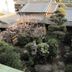 屋外の景色