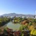 屋外の景色
