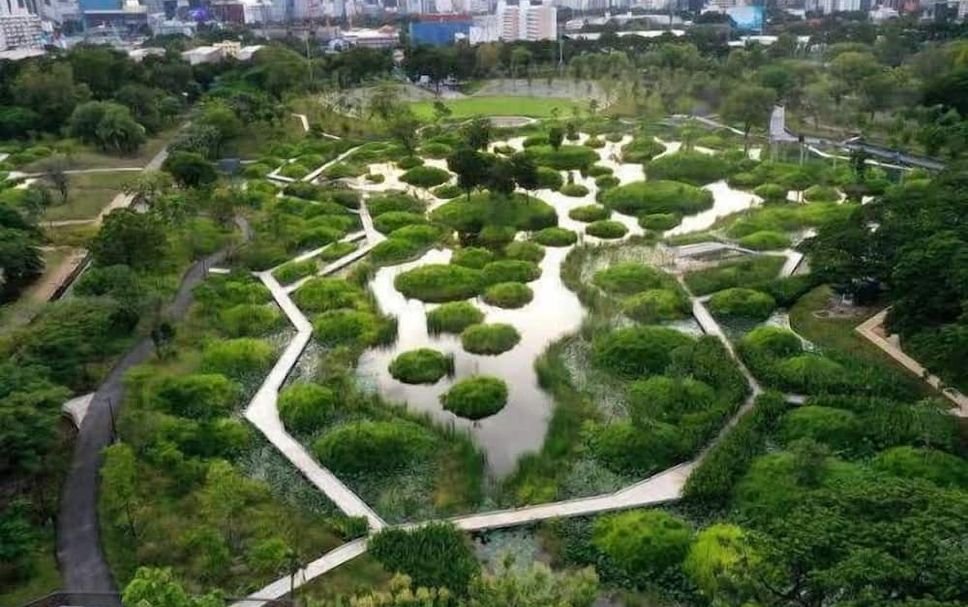 屋外の景色 写真