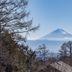 屋外の景色