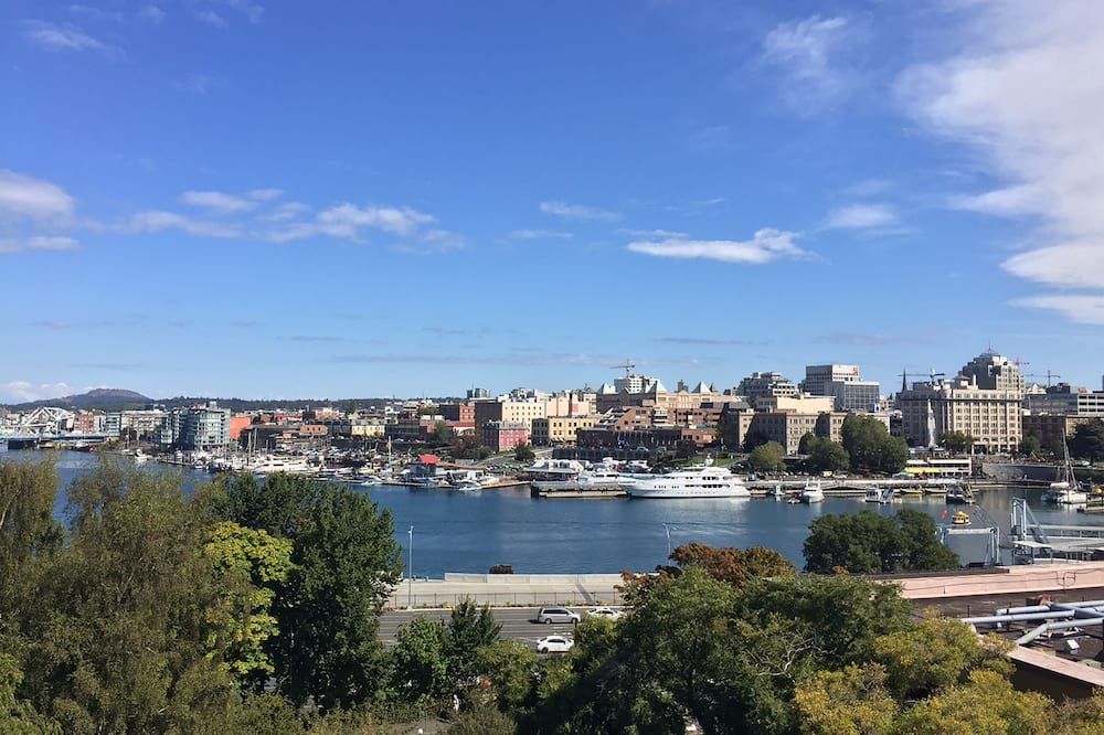 屋外の景色