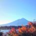 屋外の景色
