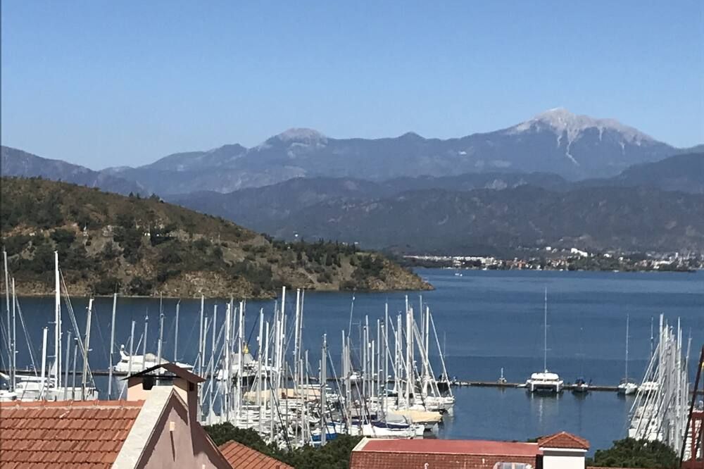 屋外の景色