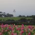 屋外の景色