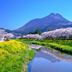 屋外の景色