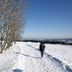 屋外の景色