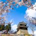 屋外の景色