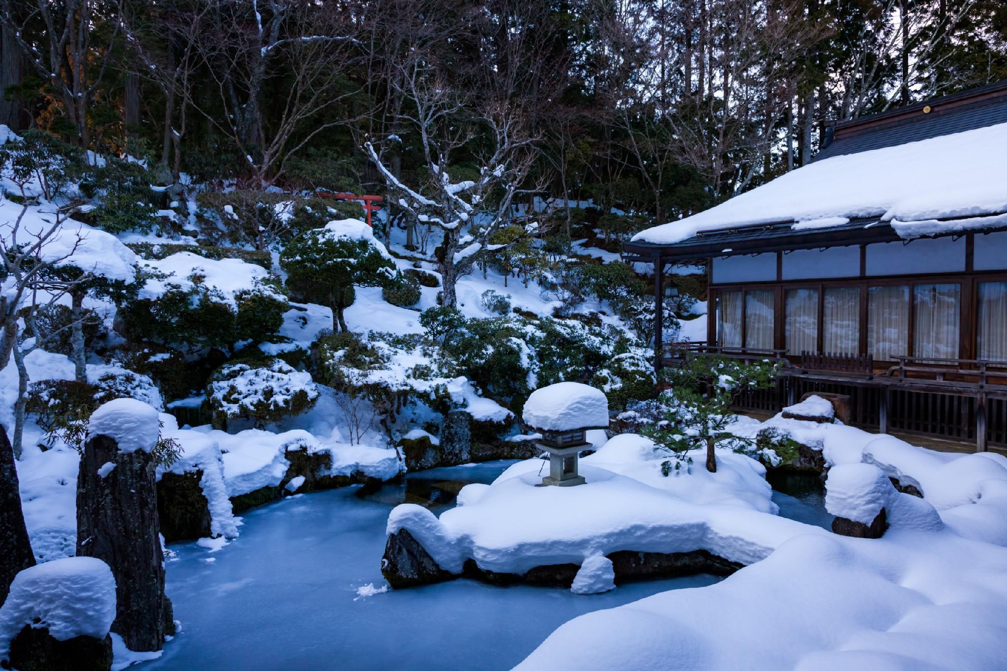 屋外の景色