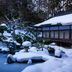 屋外の景色